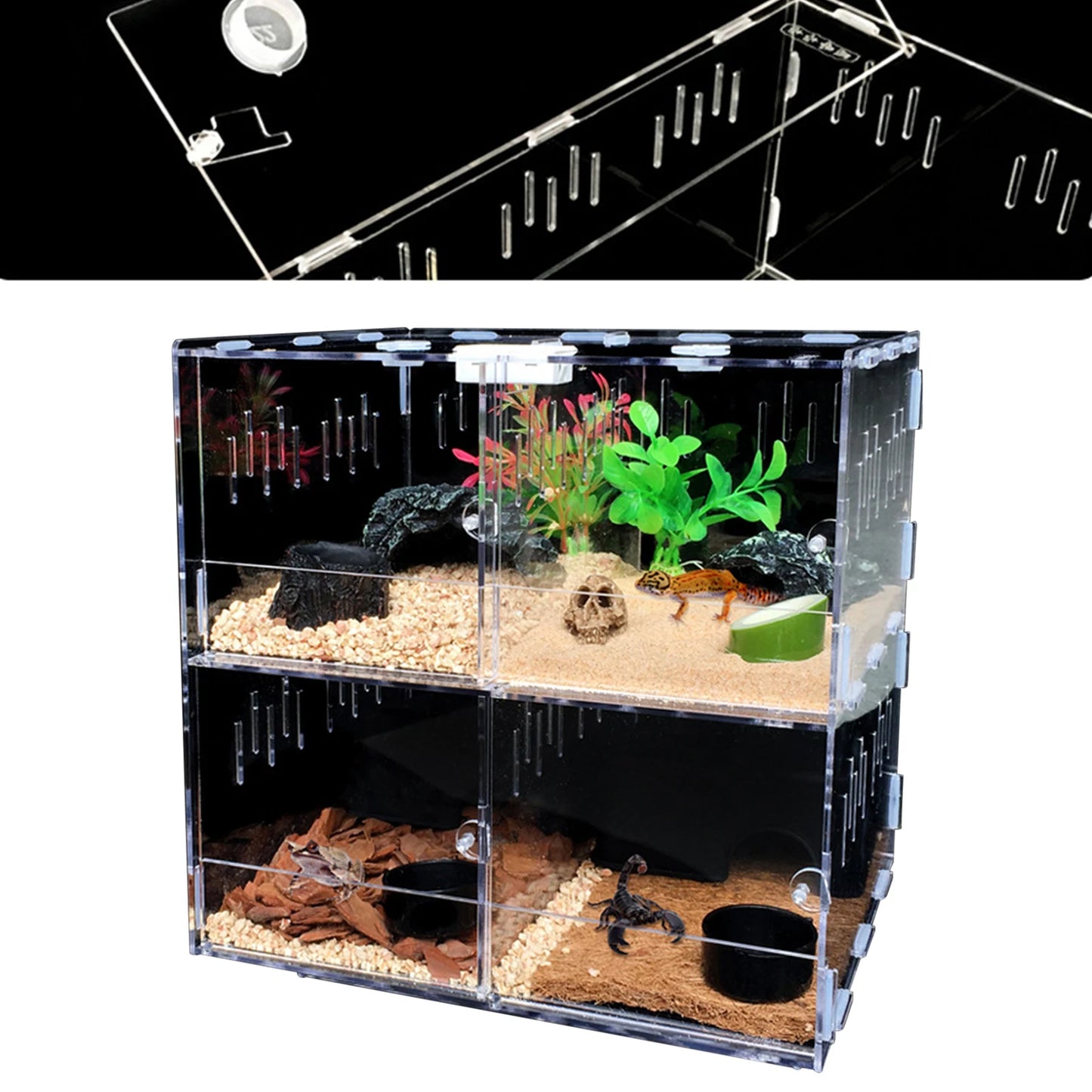 Acrylic Insect Feeding Box with Thermometer for Reptiles