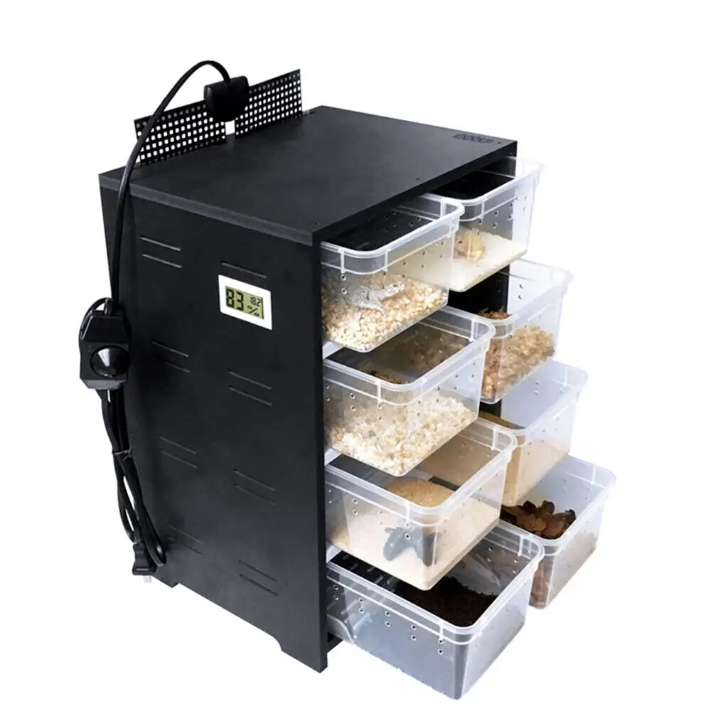 Professional Acrylic Feeding Box for Reptiles and Insects
