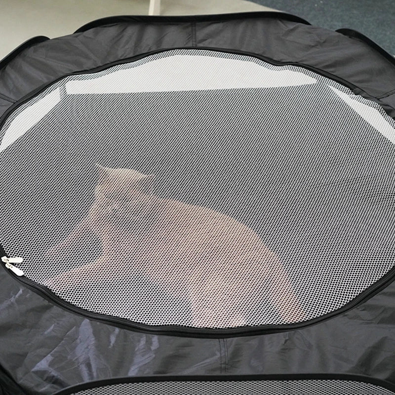 Interactive Foldable Cat Tunnel and Play Tent for Pets