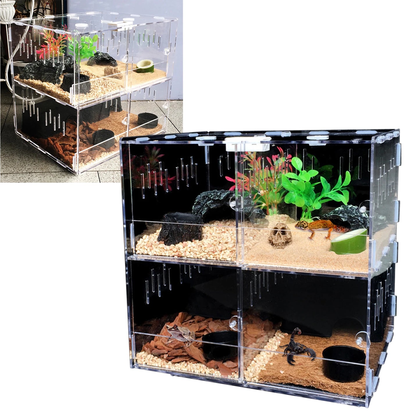 Acrylic Insect Feeding Box with Thermometer for Reptiles