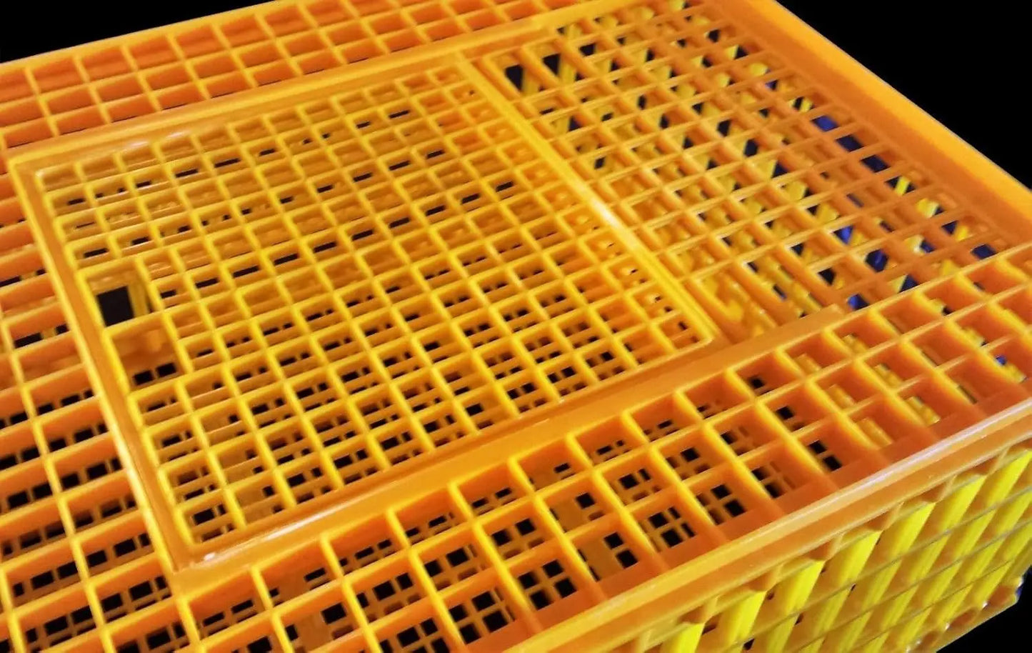 Portable Poultry Transport Cage Washable Chicken Crate for Shows