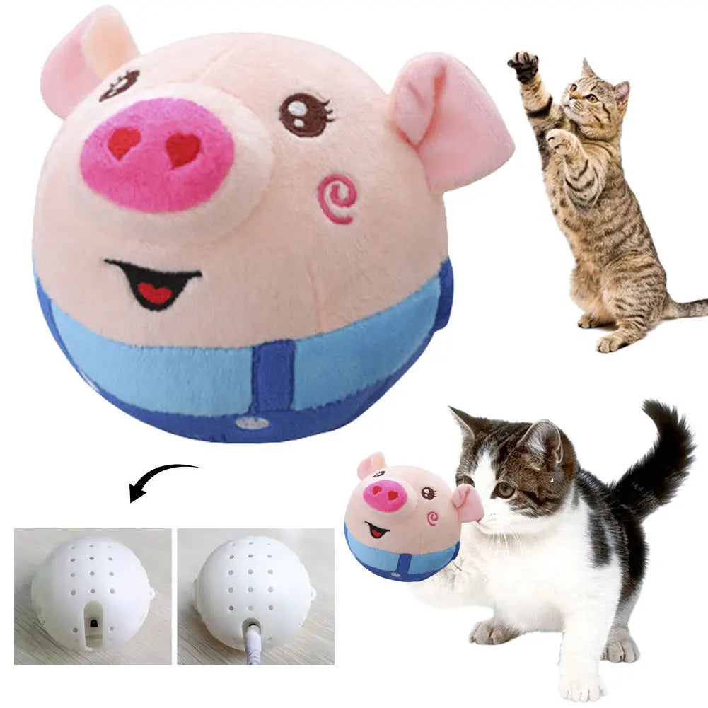 Interactive Talking Pig Ball Toy For Dogs And Cats USB