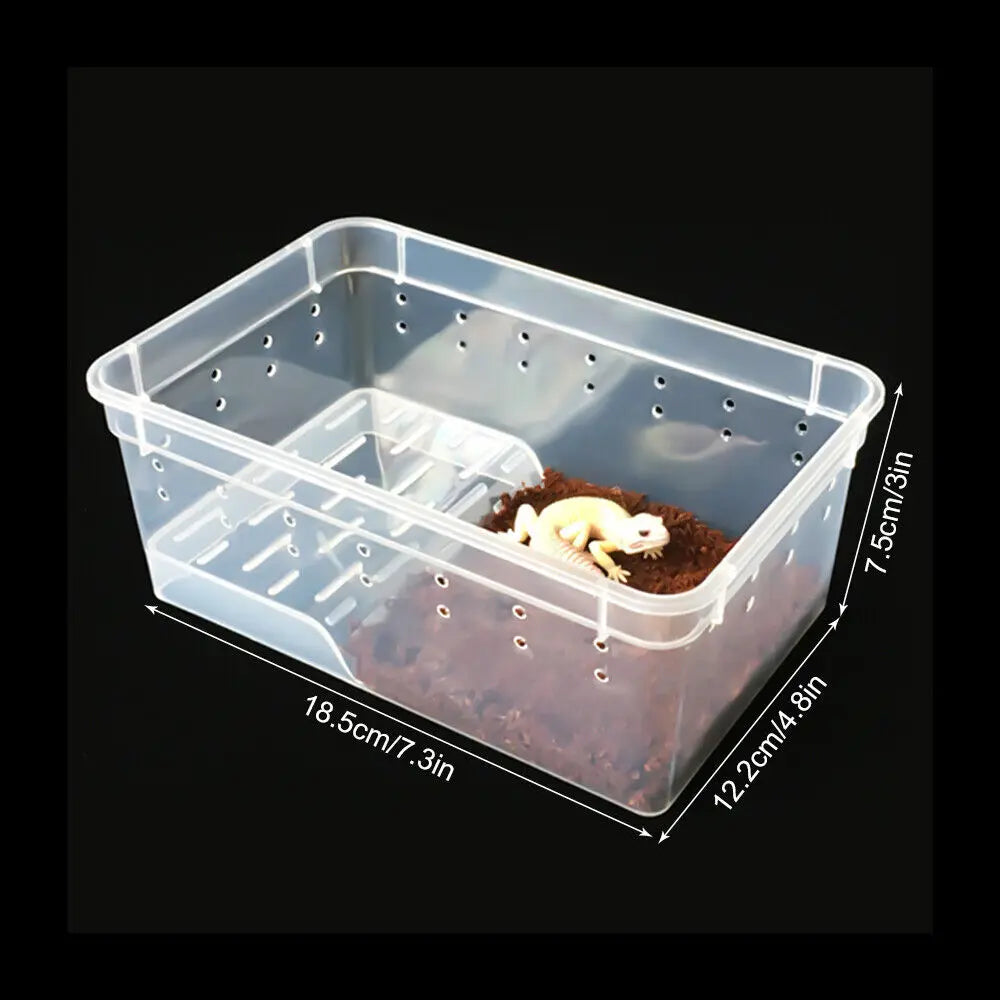 Professional Acrylic Feeding Box for Reptiles and Insects