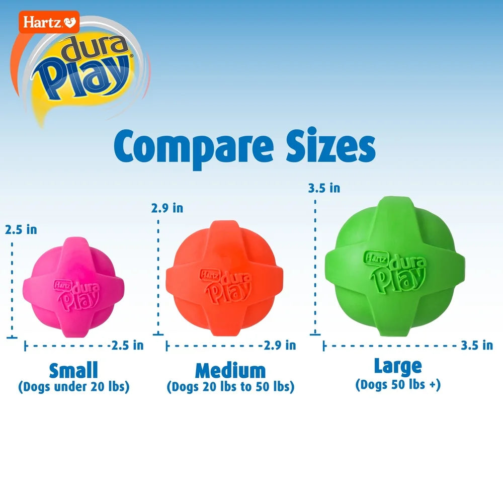 Durable Dog Toy Set with Bacon Scent and Squeaker