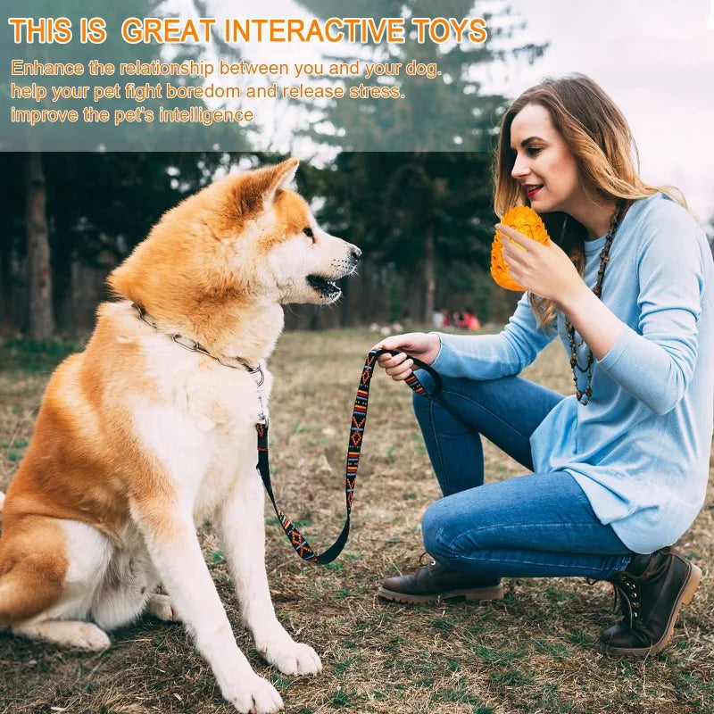 Dragon Egg Chew Toy for Aggressive Dogs Indestructible Fun
