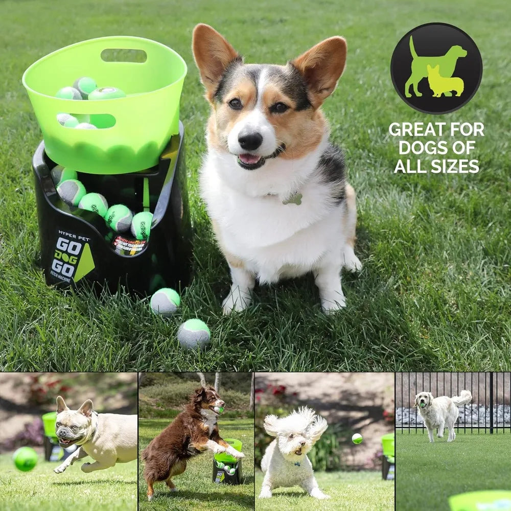 GoDogGo Automatic Fetch Machine for Active Dogs