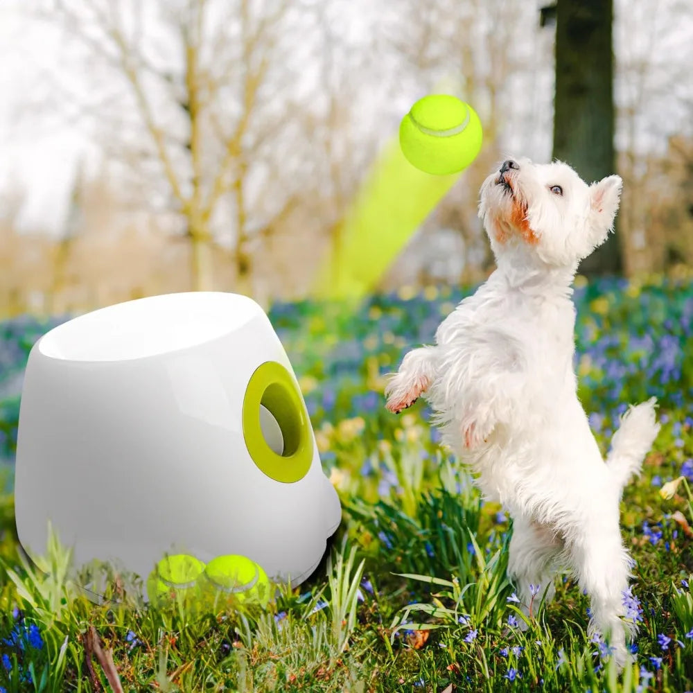 Automatic Dog Ball Launcher for Endless Fun and Play