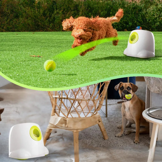 Automatic Dog Ball Launcher for Endless Fun and Play