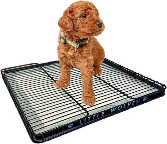 Little Wolves Puppy Potty Tray with Reusable Dog Pee Pads