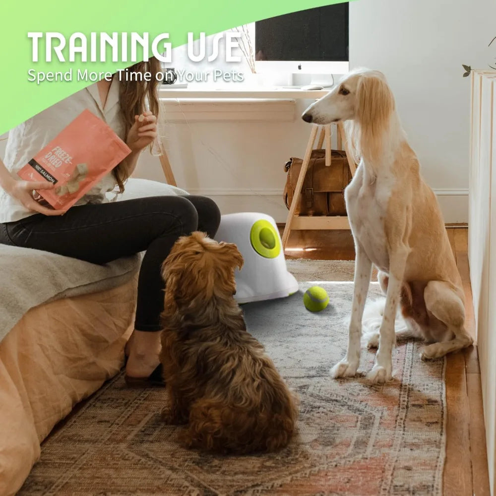 Automatic Dog Ball Launcher for Endless Fun and Play