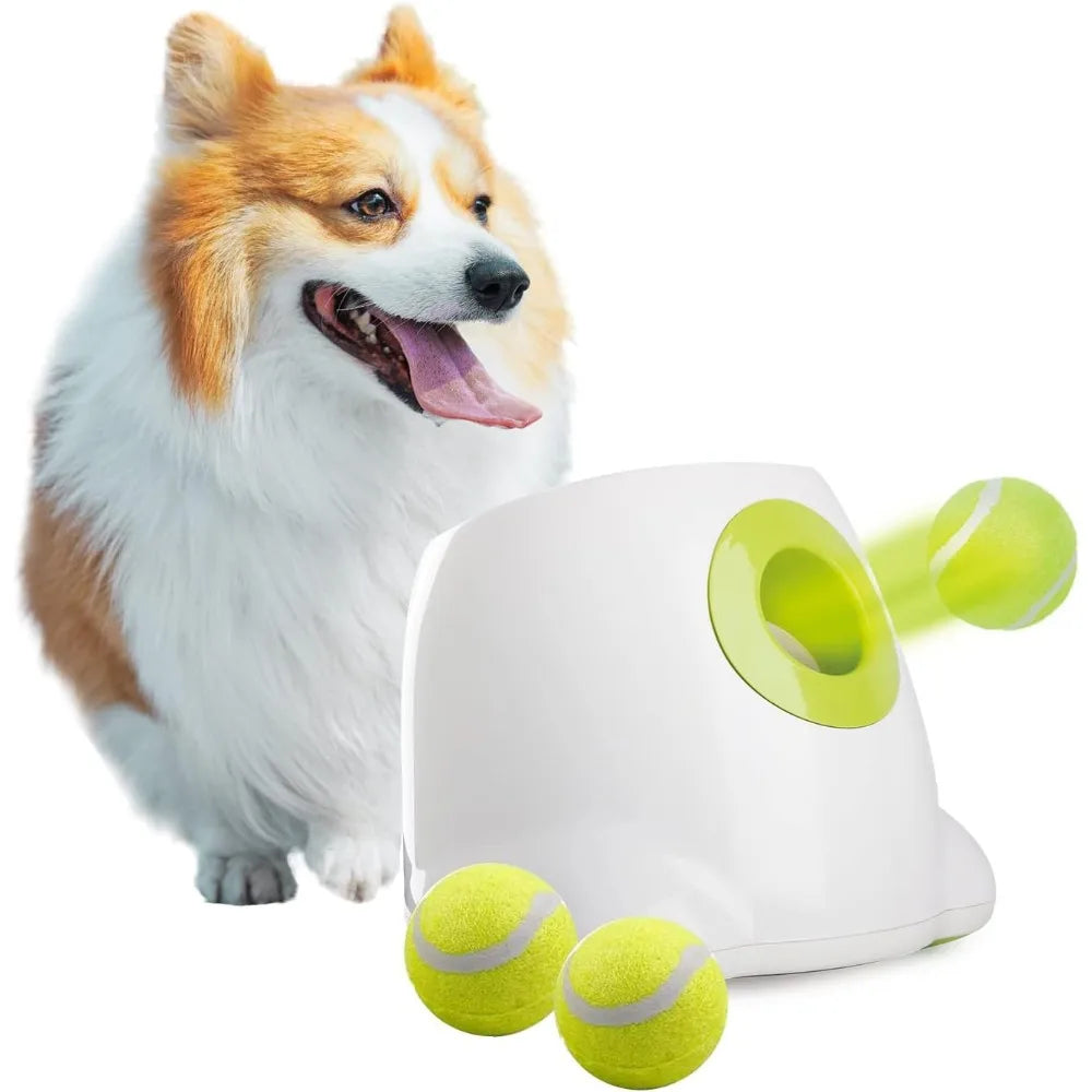 Automatic Dog Ball Launcher for Endless Fun and Play