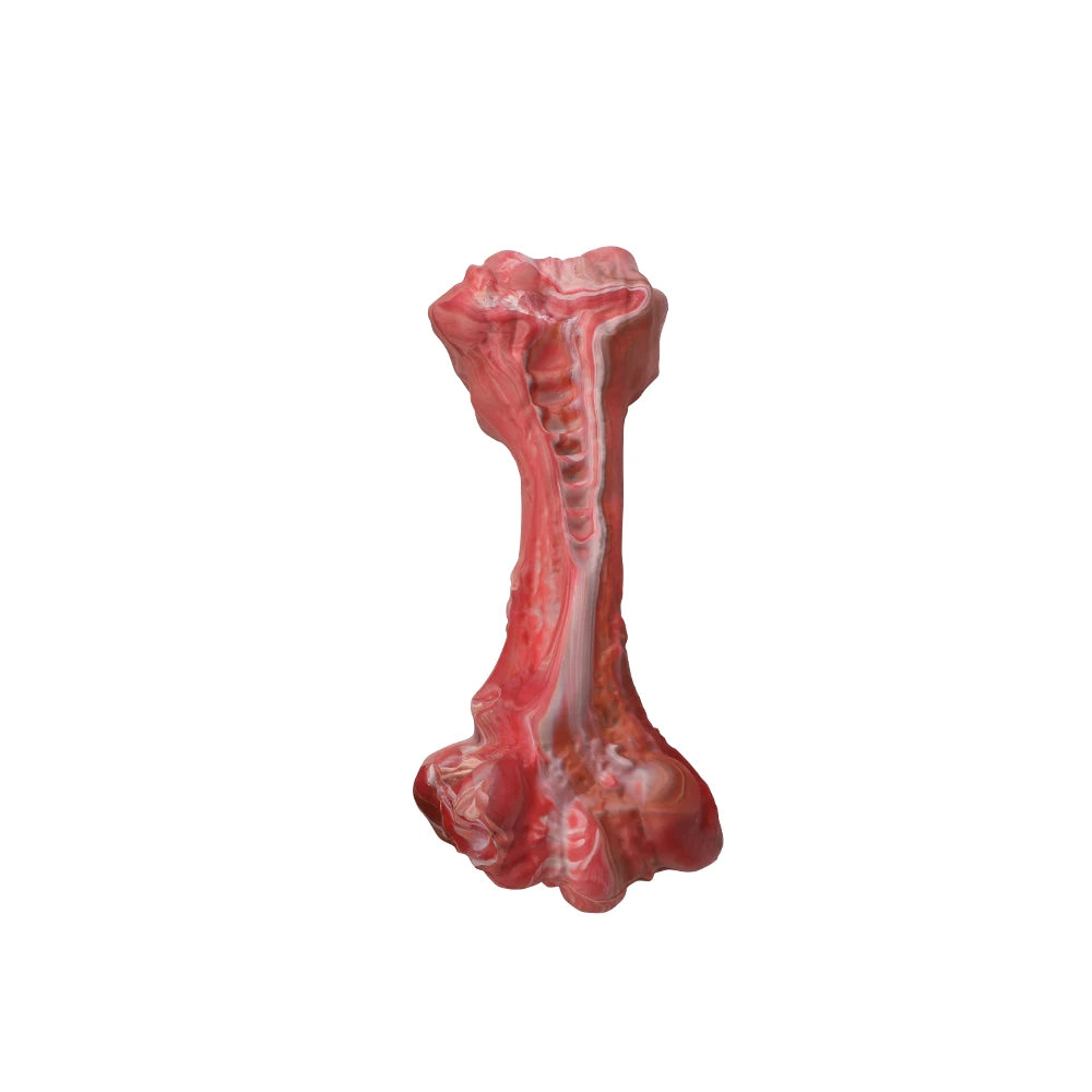Masbrill Dog Toys for Aggressive Chewers Large Dogs Indestructible Bone Shaped Nylon Interactive Teeth Cleaning Toys