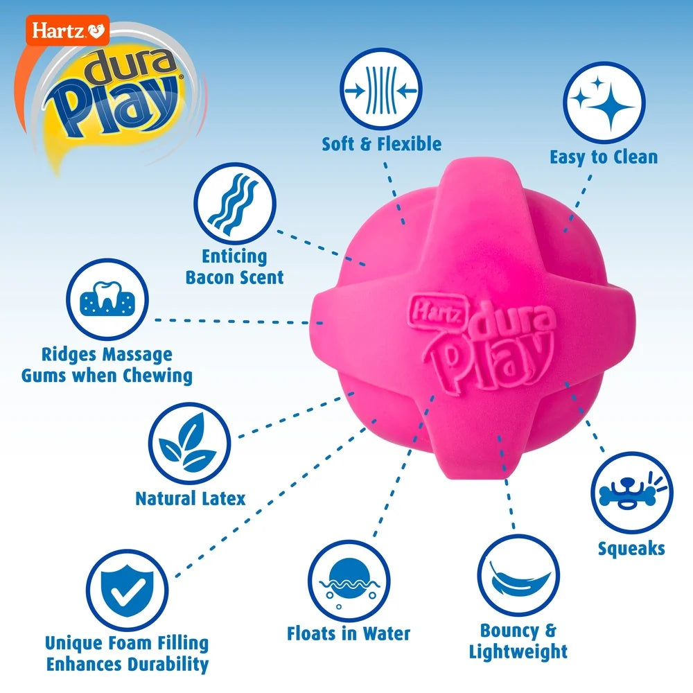 Durable Dog Toy Set with Bacon Scent and Squeaker