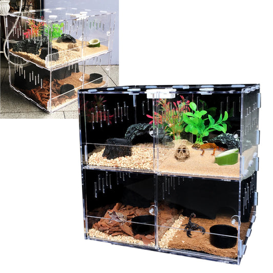 Acrylic Insect Feeding Box with Thermometer for Reptiles