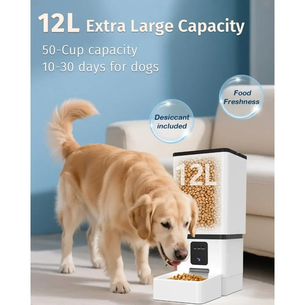 Automatic Dog Feeder With Camera And App Control