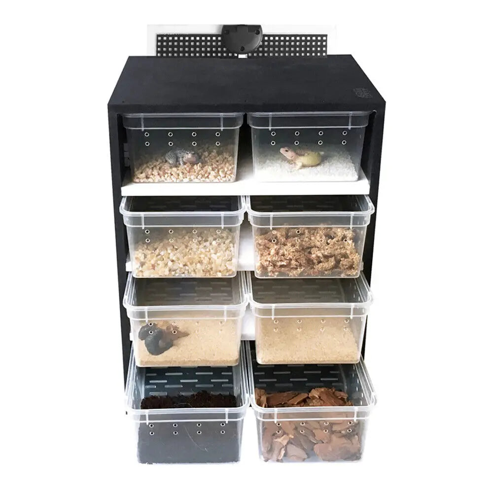 Professional Acrylic Feeding Box for Reptiles and Insects