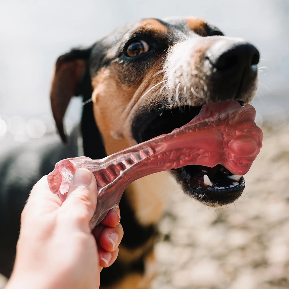 Masbrill Dog Toys for Aggressive Chewers Large Dogs Indestructible Bone Shaped Nylon Interactive Teeth Cleaning Toys