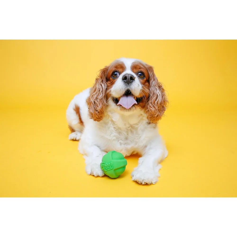 Durable Dog Toy Set with Bacon Scent and Squeaker
