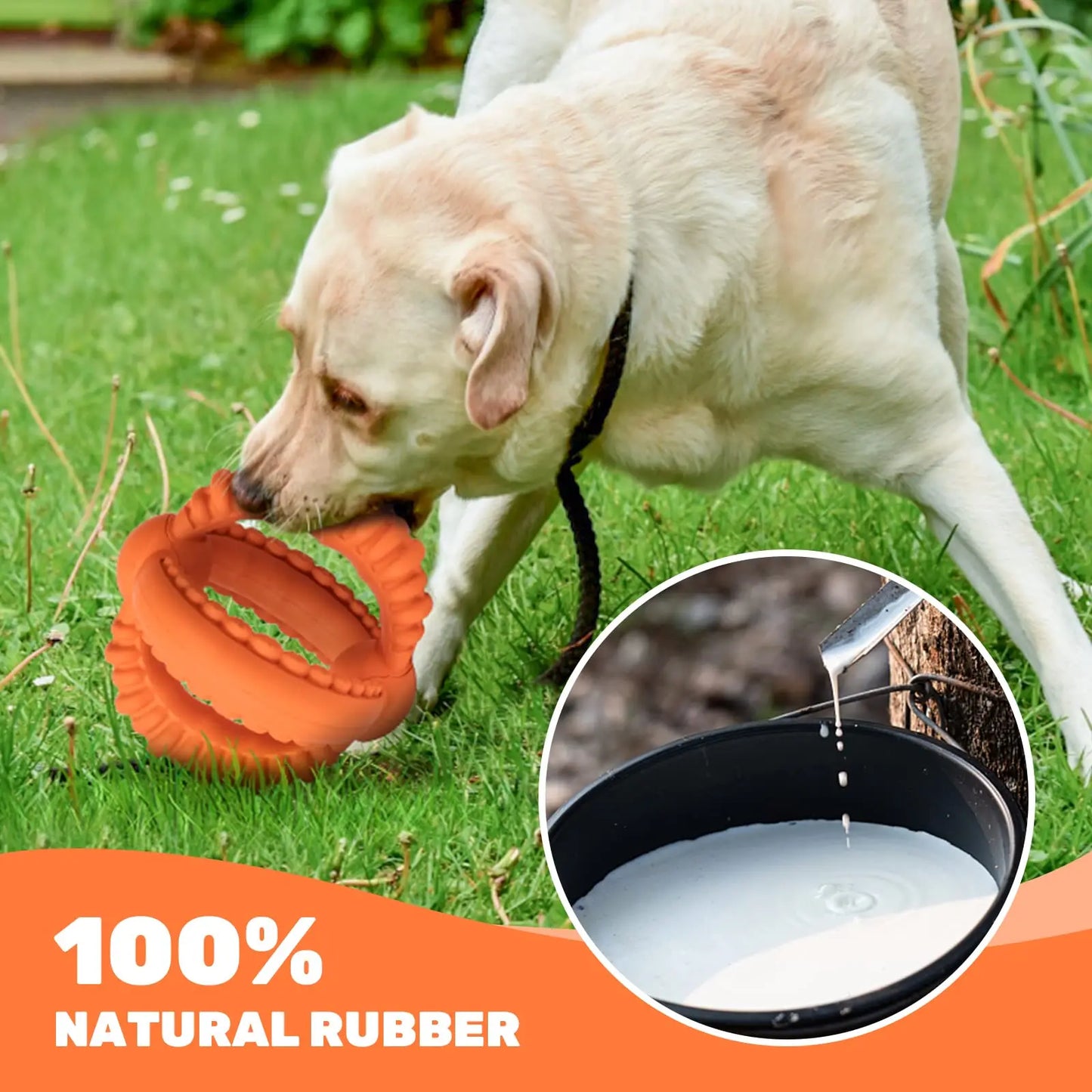 Interactive Tug of War Dog Toy with Detachable Rings