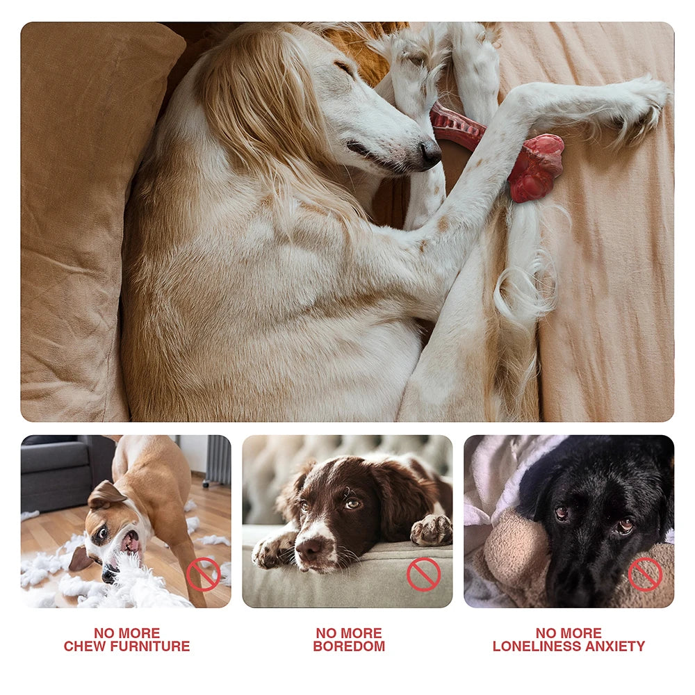 Masbrill Dog Toys for Aggressive Chewers Large Dogs Indestructible Bone Shaped Nylon Interactive Teeth Cleaning Toys