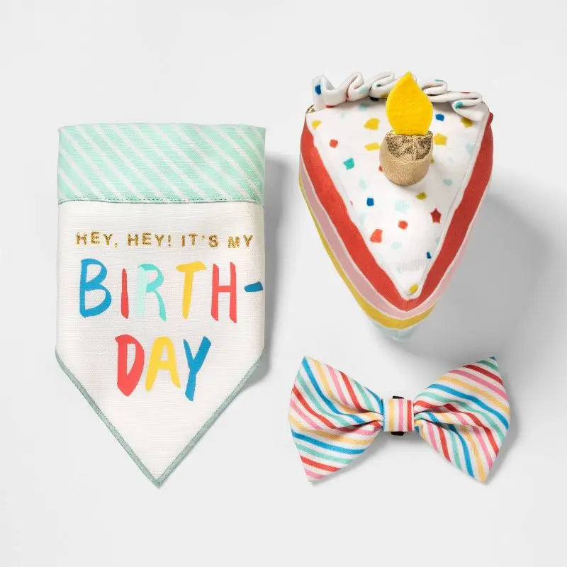 Birthday Cake Plush Dog Toy Squeaker Crinkle Cuddle