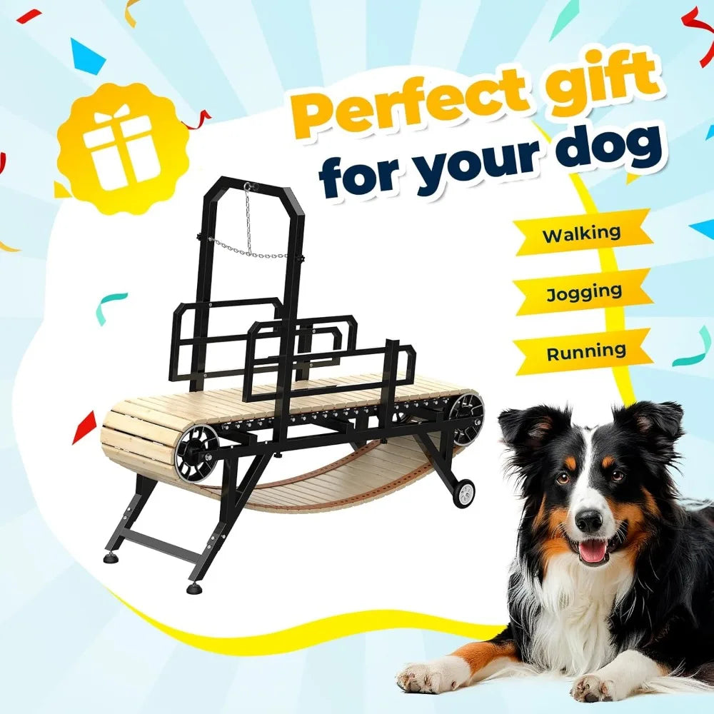 Pro Adjustable Dog Treadmill for Medium and Large Dogs